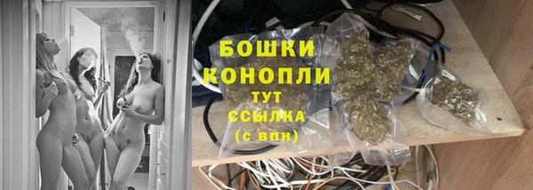 бошки Мостовской