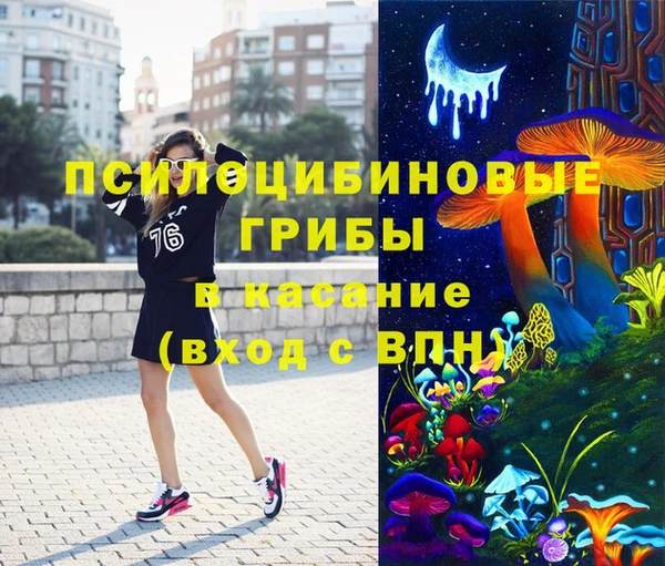 сатива Россошь