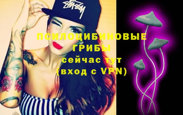 ПСИЛОЦИБИНОВЫЕ ГРИБЫ Рославль