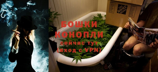 ПСИЛОЦИБИНОВЫЕ ГРИБЫ Рославль