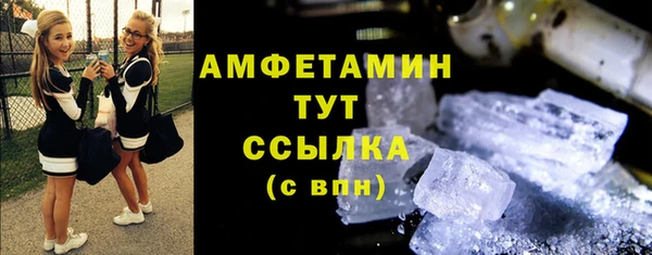 сатива Россошь