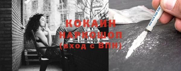 сатива Россошь