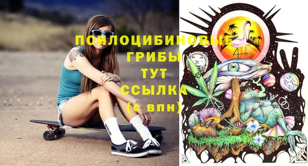 mdpv Северская