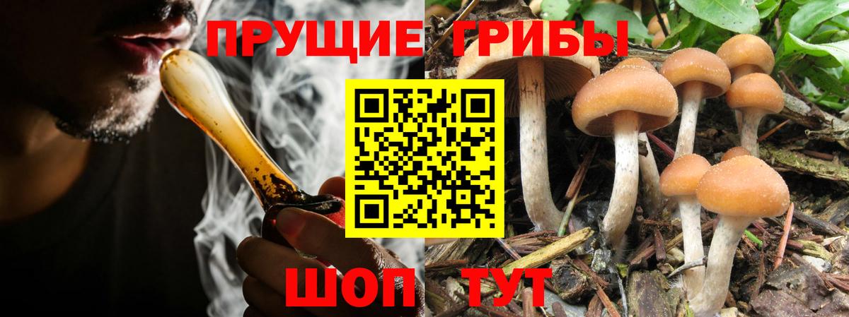 Галлюциногенные грибы Cubensis  Вход с VPN  Альметьевск 